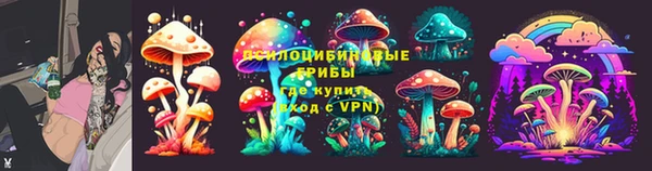 прущие крисы Алексеевка