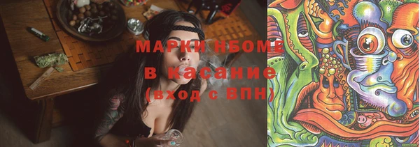 твердый Алексин