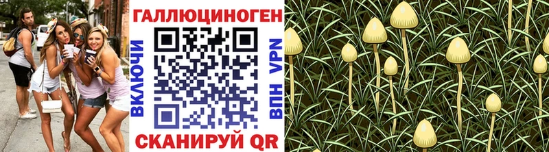 Галлюциногенные грибы Cubensis  hydra вход  Кондопога 